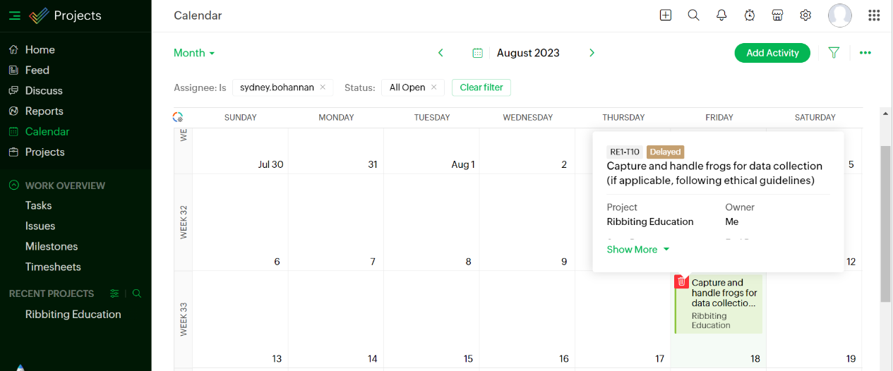 Calendar view in Zoho Projects