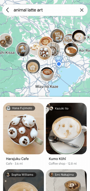 Google Maps Images Animal Latte Art